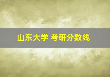 山东大学 考研分数线